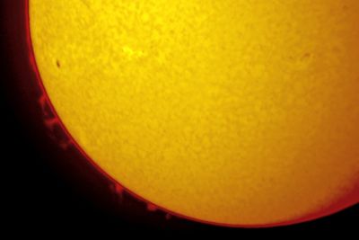 Sun with prominences